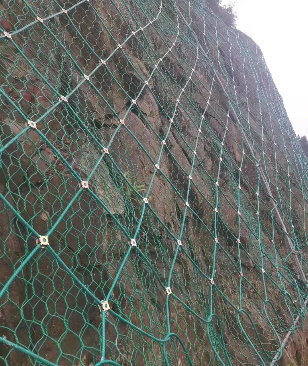 自动防护网实景